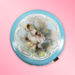 Round decorative item with cherub design on a pink background